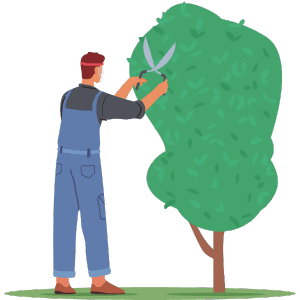 Complete Tree Care