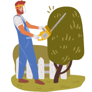 Tree Pruning