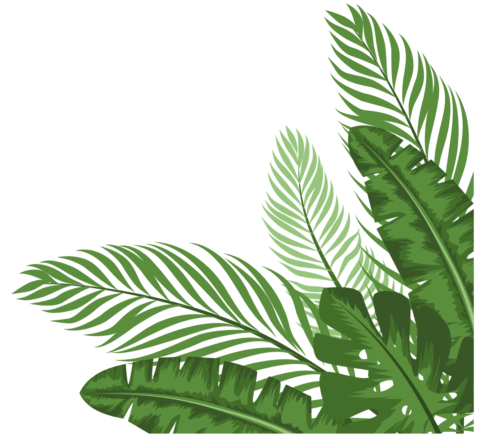 Decorative plant illustration