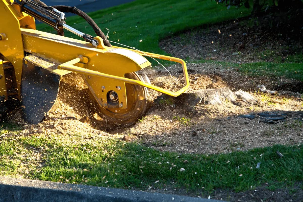 Stump grinding